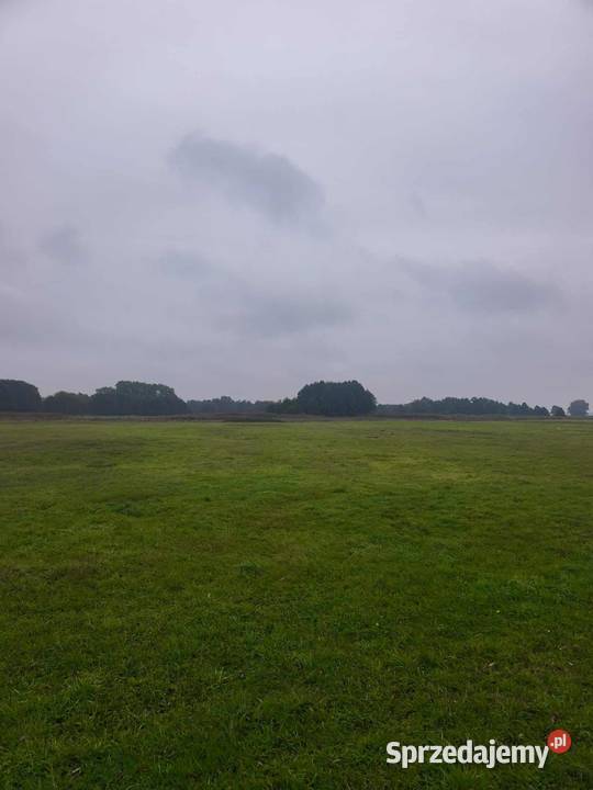 DWIE ŁĄKI W MIEJSCOWOŚCI LĄDEK GMINA LĄDEK sprzedam