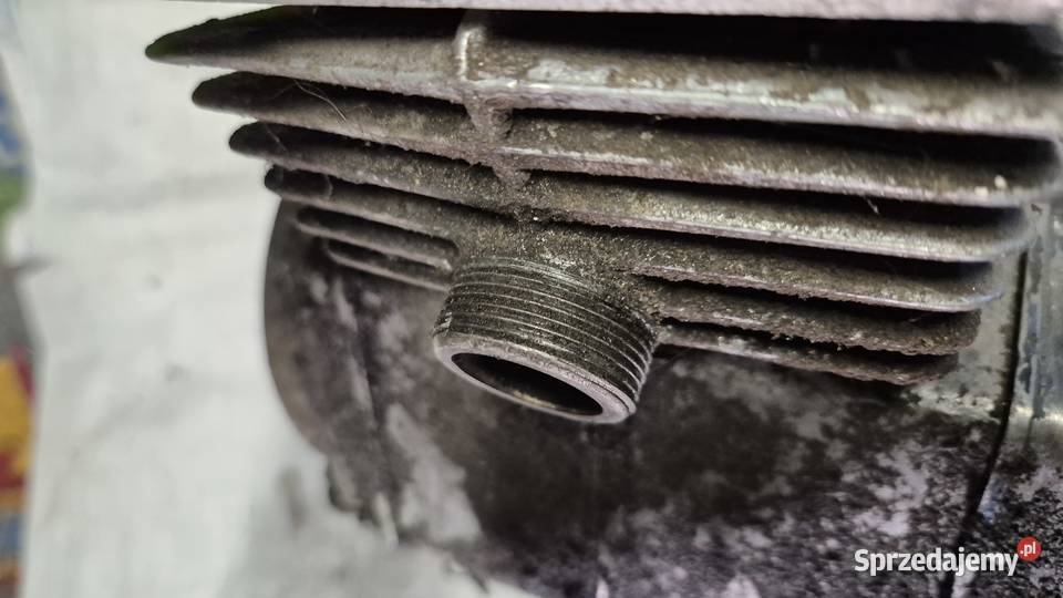 Motorynka silnik Hryniewicze