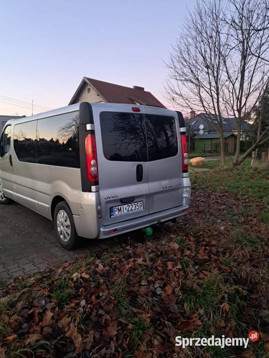 Opel vitro trafick 9 osób Long wielkopolskie Międzychód
