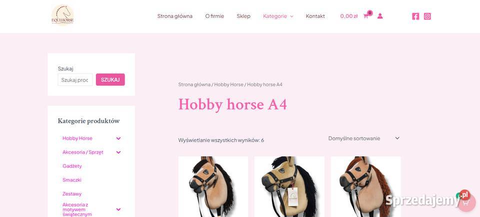 Strony Internetowe Tworzenie Stron WWW Sklepy wielkopolskie