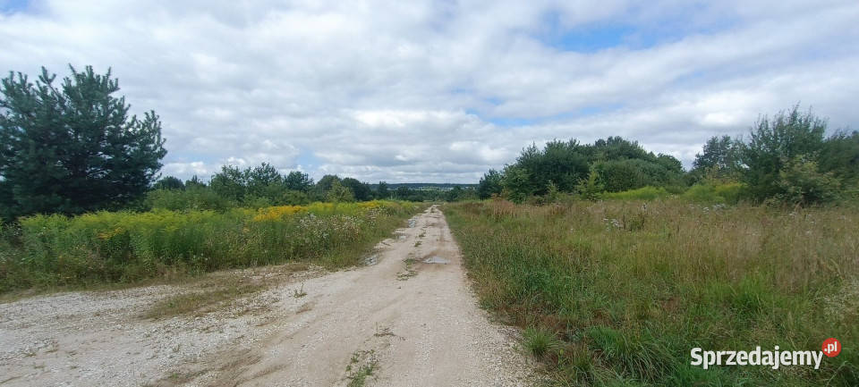 Ogłoszenie grunt 3600m2 Piaseczna Górka Orla