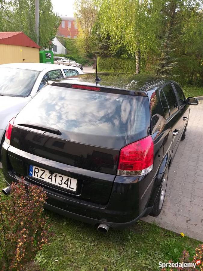 Opel Signum 20T z20net gazlpg doinwestowany lakier metallic Rzeszów