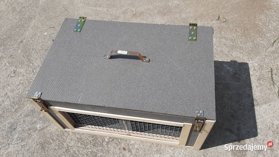 Transporter Czerniejewo