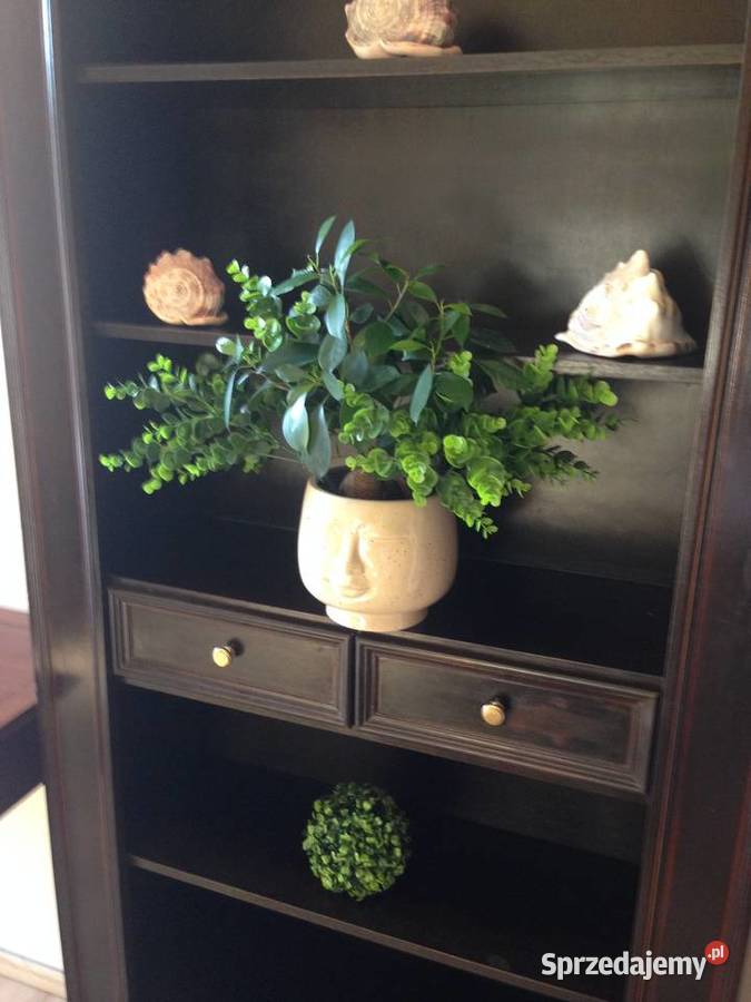 Regał drewniany piękny kształt biblioteczka pomorskie Gdańsk