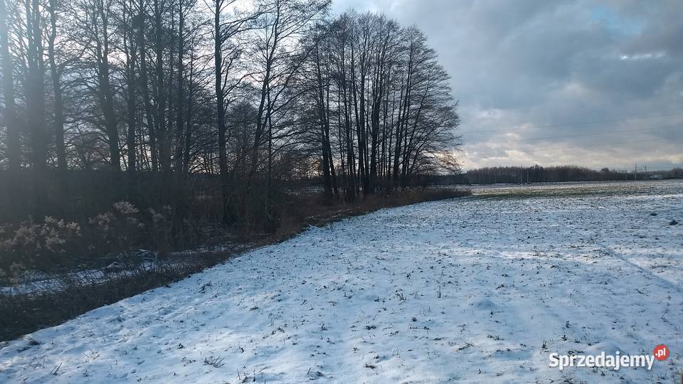 Dzialka rolna 642 ha Tarnowiec w strefie