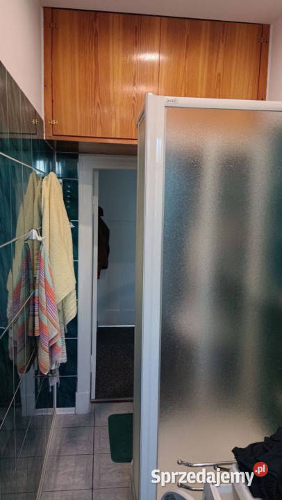 Duże mieszkanie w ładnej kamienicy na Wildzie pom. użytkowe Sprzedaż Poznań