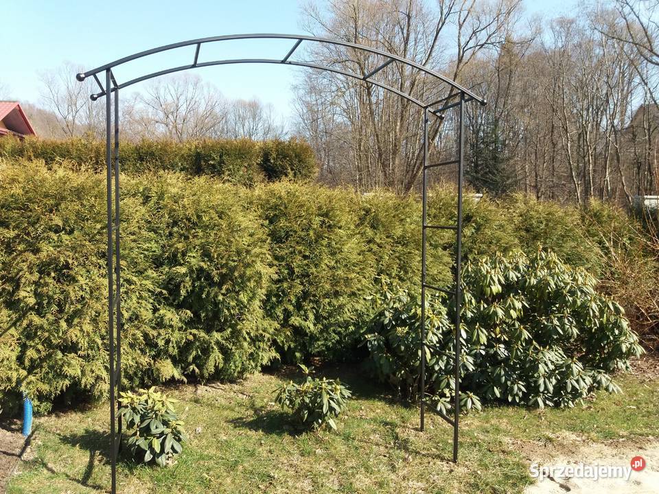 pergola ogrodowa metalowa na pnącza róże kwiaty Trzebunia