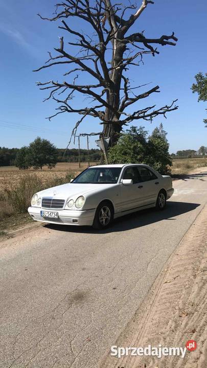 Mercedes w210 290TD Drozdowo