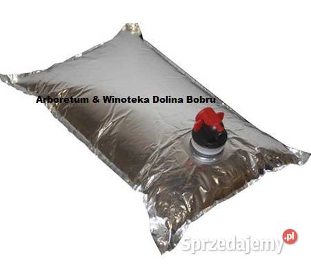 Tłoczenie pasteryzacja soków Pławna Dolna