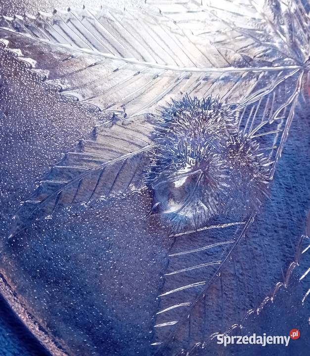 Patera Luminarc Kasztan Lata 60e 70e XX w wielkopolskie