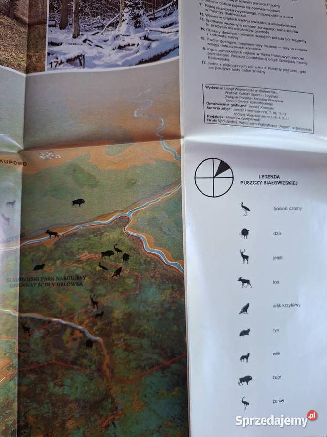 Puszcza Białowieska mapa Kraków