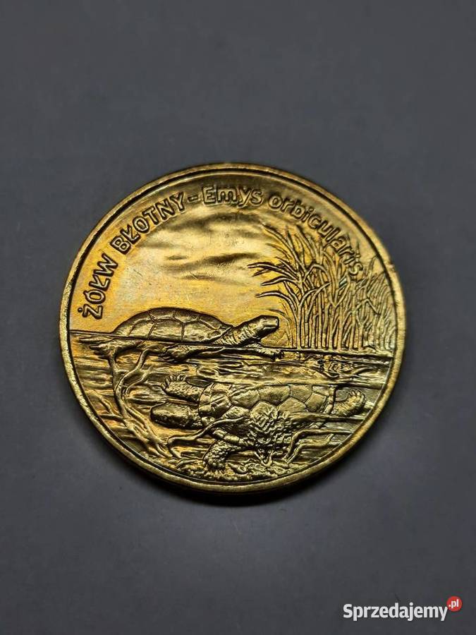 MONETA Polska 2 złote 2002 Żółw błotny 001 Numizmatyka Warszawa