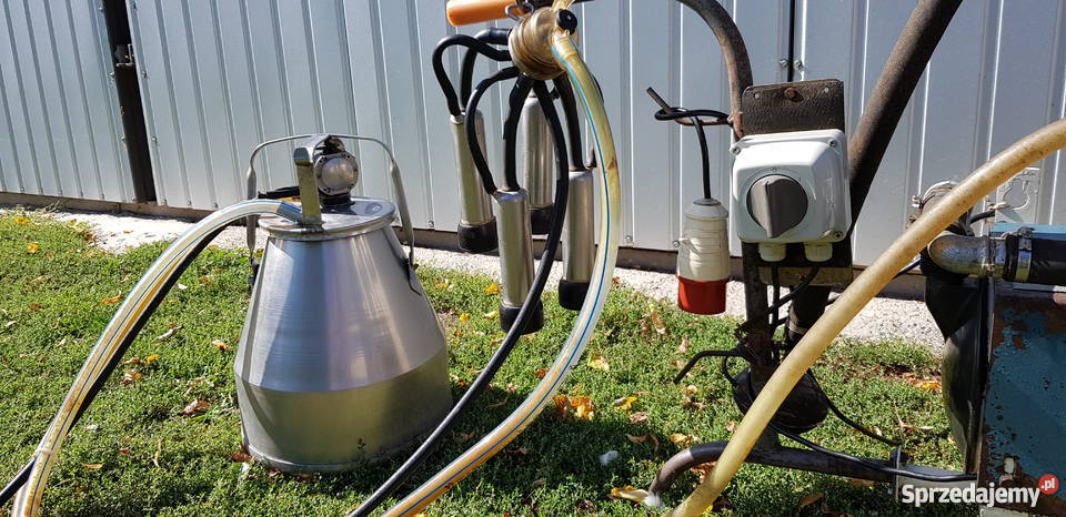 Dojarka alfa laval Płońsk