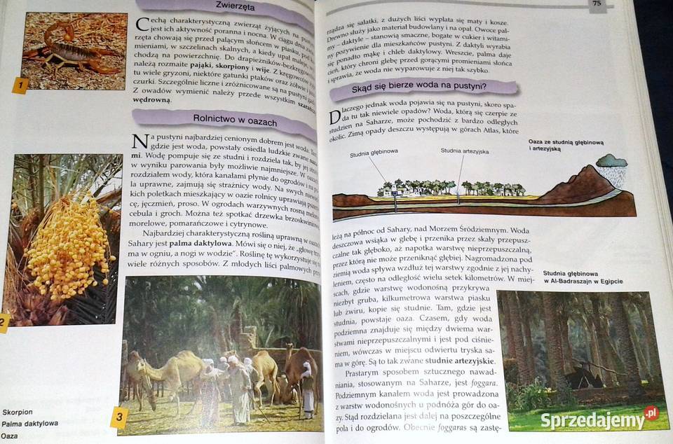 Geografia 5 Mirosław Czerny Andrzej Czerny Chełm