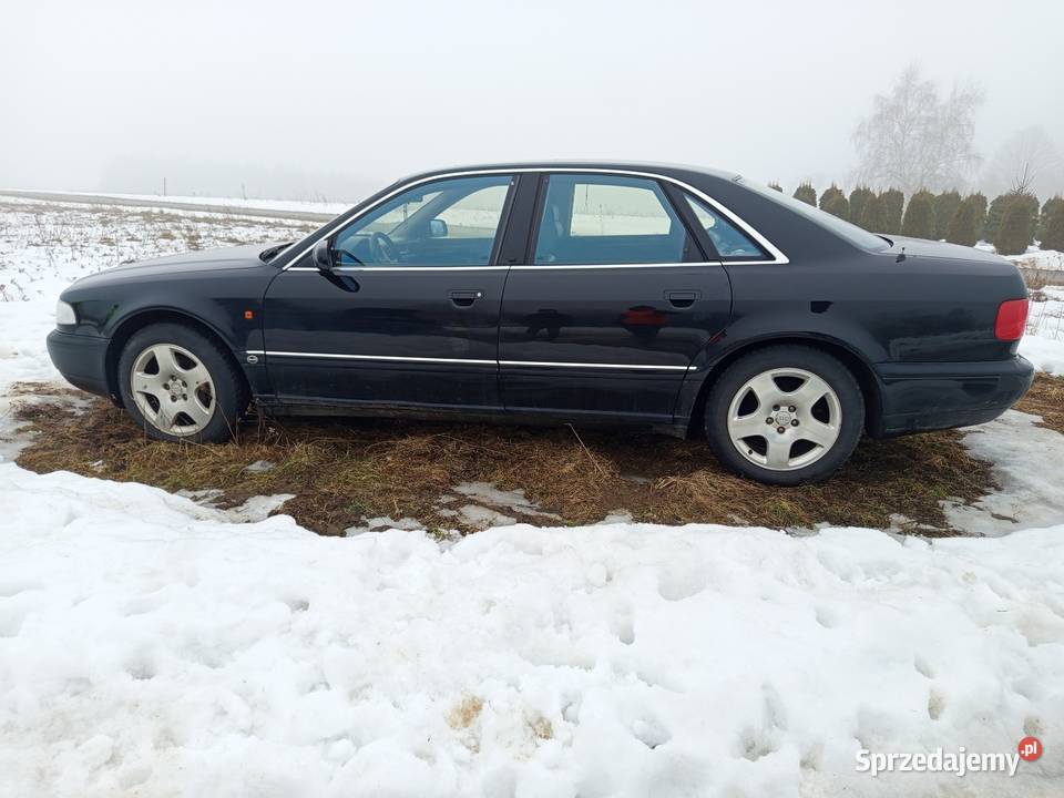Audi A8 D2 Sedan / Limuzyna Hyżne