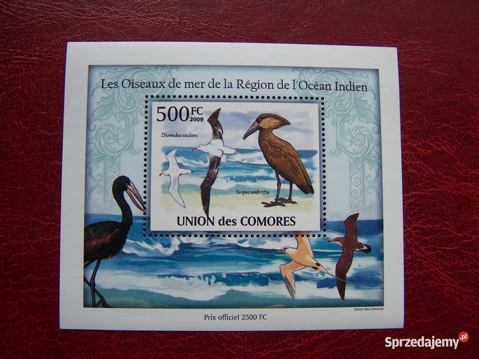 Komory 2009 MNH Fauna Ptaki Morskie Nakład 2500 Tychy sprzedam