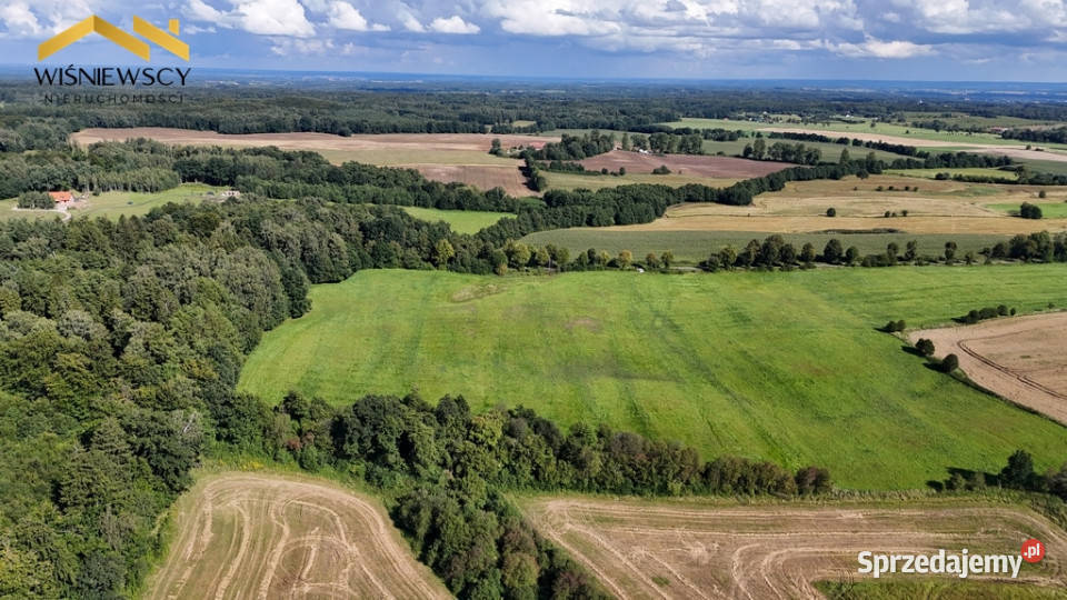 Wyjątkowy teren o powierzchni 71 696m2 Sprzedaż