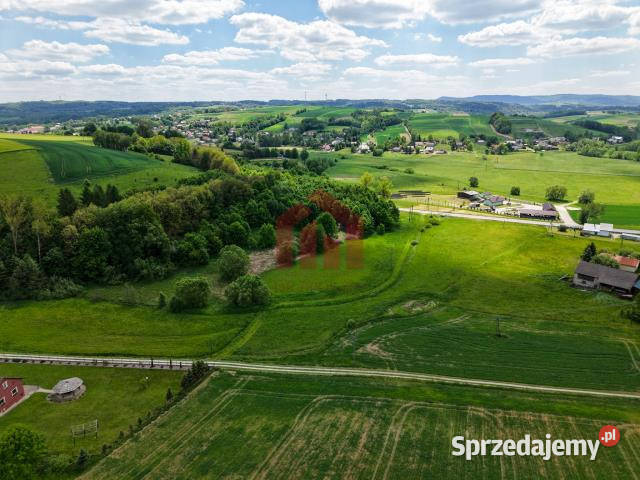 Działka 1000m2 Wielopole Skrzyńskie sprzedam