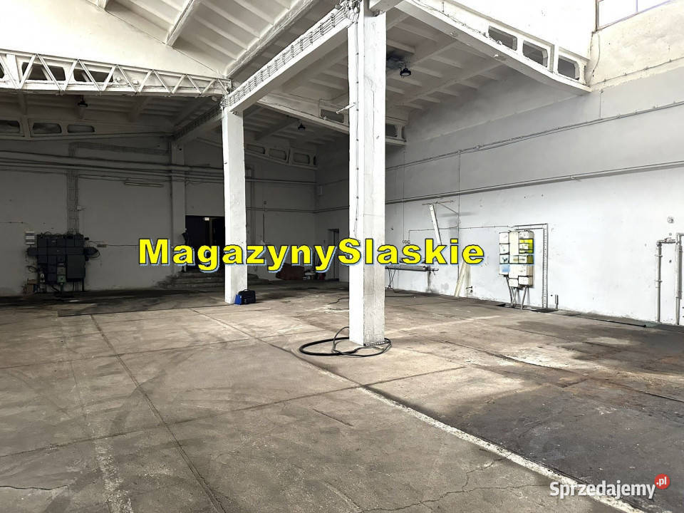 Hale ogrzewane do wynajęcia Zabrze DTŚ DW 902 winda śląskie sprzedam
