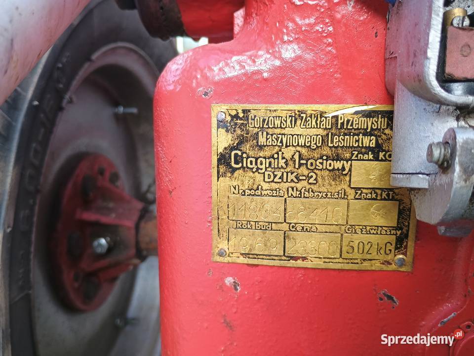 Sprzedam dzik 2 lubelskie Polatycze