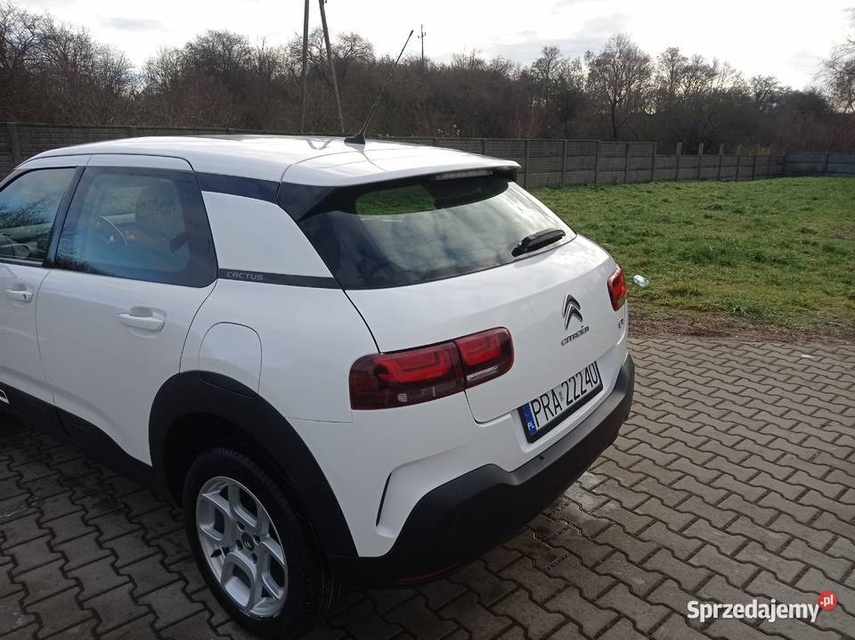 Citroen C4 Cactus 15 bluHdi 102KM wielkopolskie Rawicz