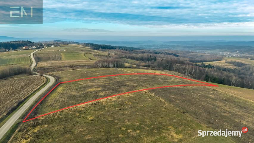 Ziemia na sprzedaż 10200m2 Gogołów sprzedam