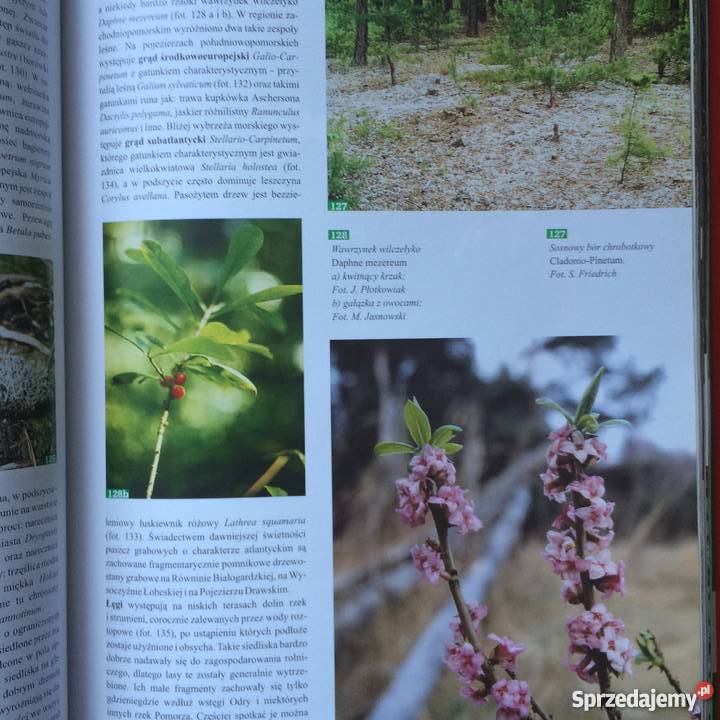 1084 Przyroda Pomorza Zachodniego Szczecin