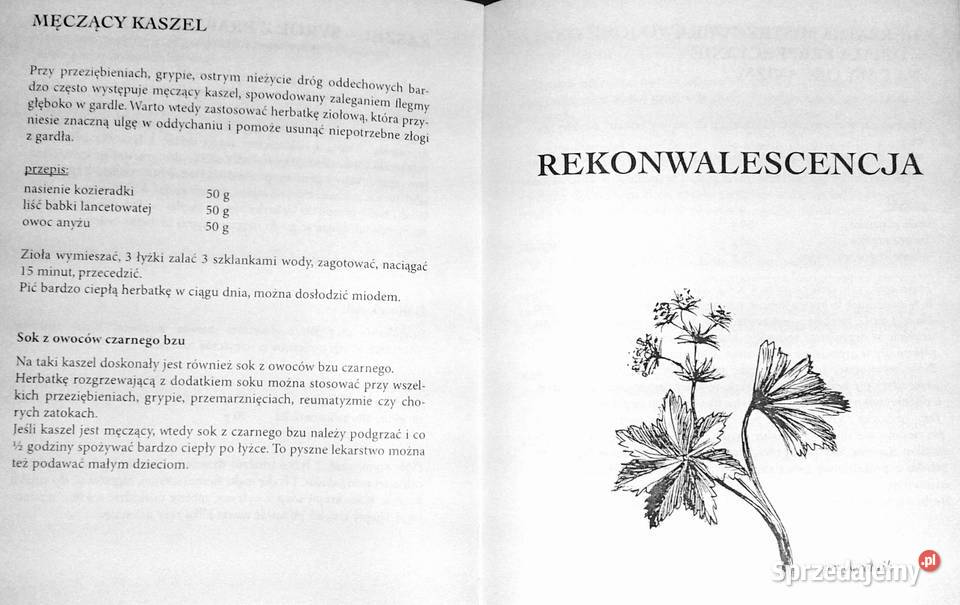 Na odsiecz grypie Stefania Korżawska Chełm