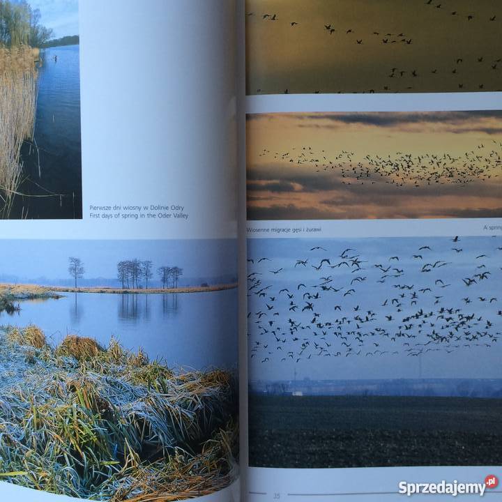 1086 Kraina Puszcz i Bagien Antykwariat Szczecin