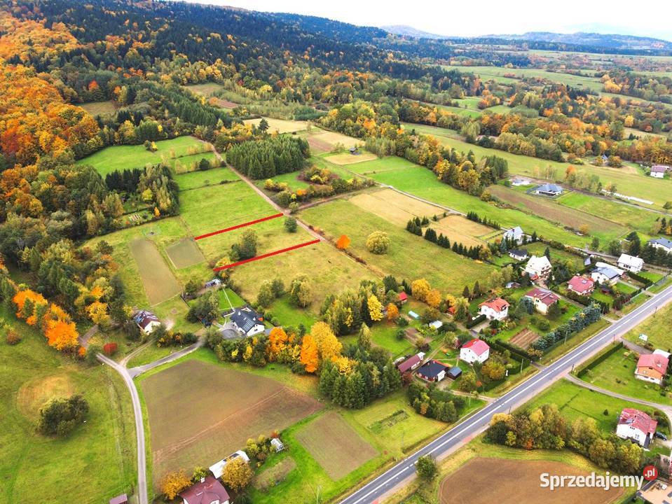 Sprzedam działka budowlana Sękowa Sprzedaż małopolskie sprzedam
