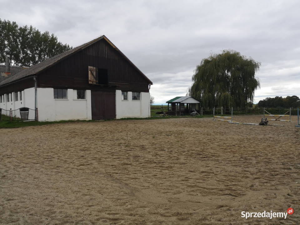 Sprzedam gospodarstwo rolne stajnię siedlisko