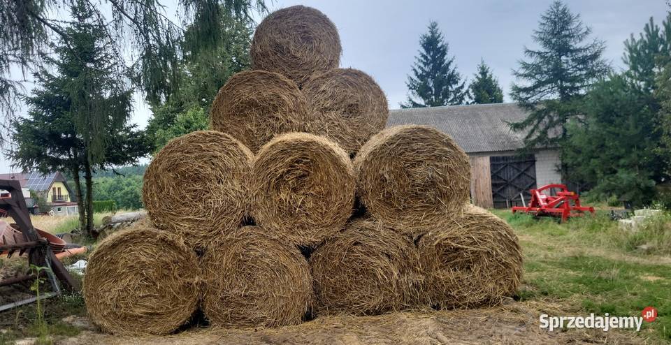 Sprzedam słomę sprzedam
