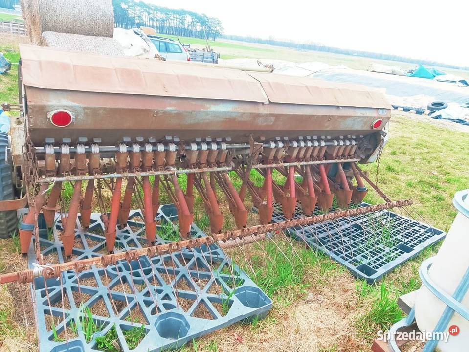 Siewnik Poznaniak Zduńska Wola