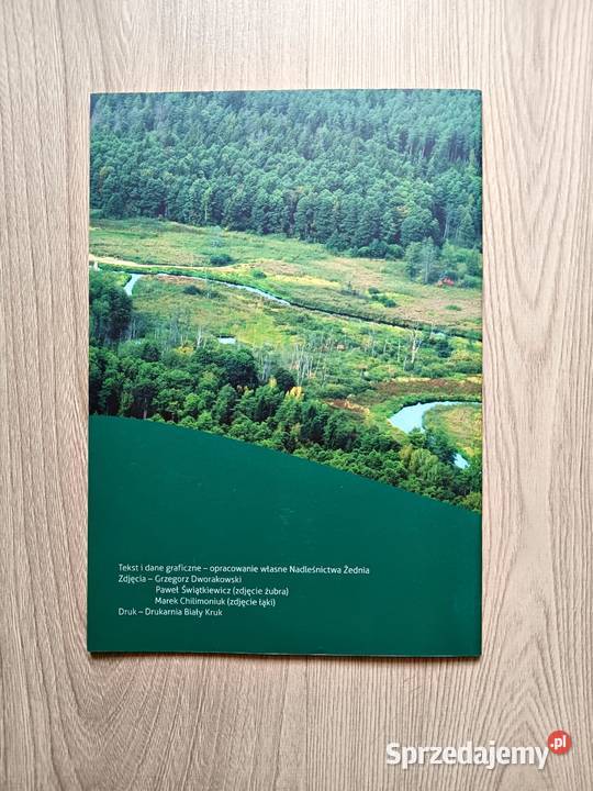 Nadleśnictwo Żednia Folder Lasy Państwowe Kraków
