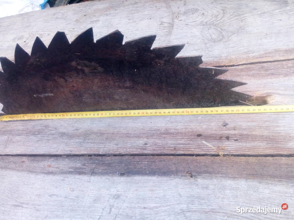 Cyrkularka krajzege piła stołowa Krasnystaw