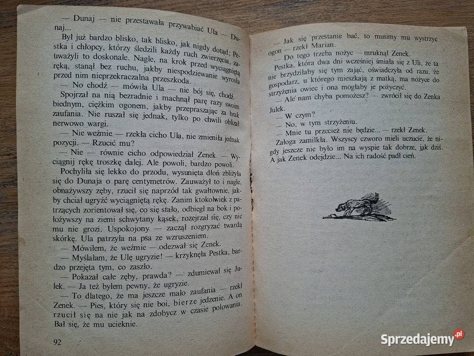 Ten obcy Irena Jurgielewiczowa Kraków