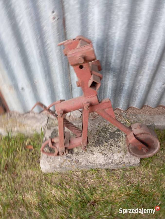 Chwastów ok opiełacz radło wielkopolskie Skulsk