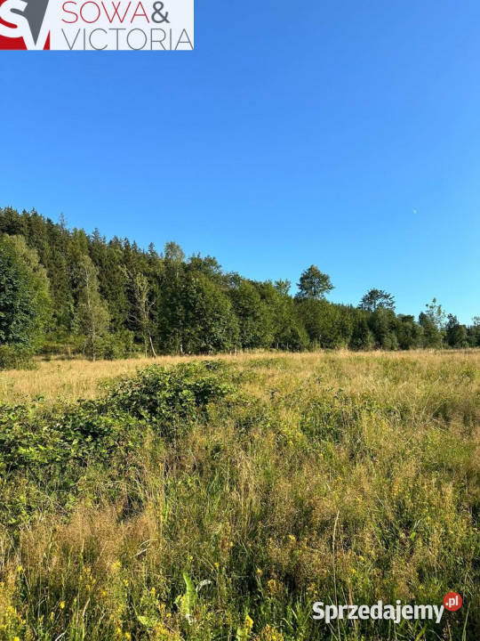 Piękne działki budowlane przełęczy Kowarskiej Leszczyniec sprzedam