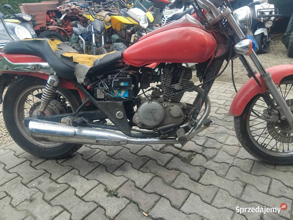 Chopper bn 125 Kawasaki Eliminator łańcuch Konina