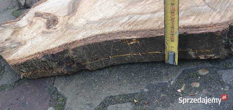 Plastry drewna orzech Pakość