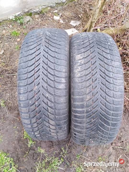 Opony 2055516 nokian 21r Pakosław