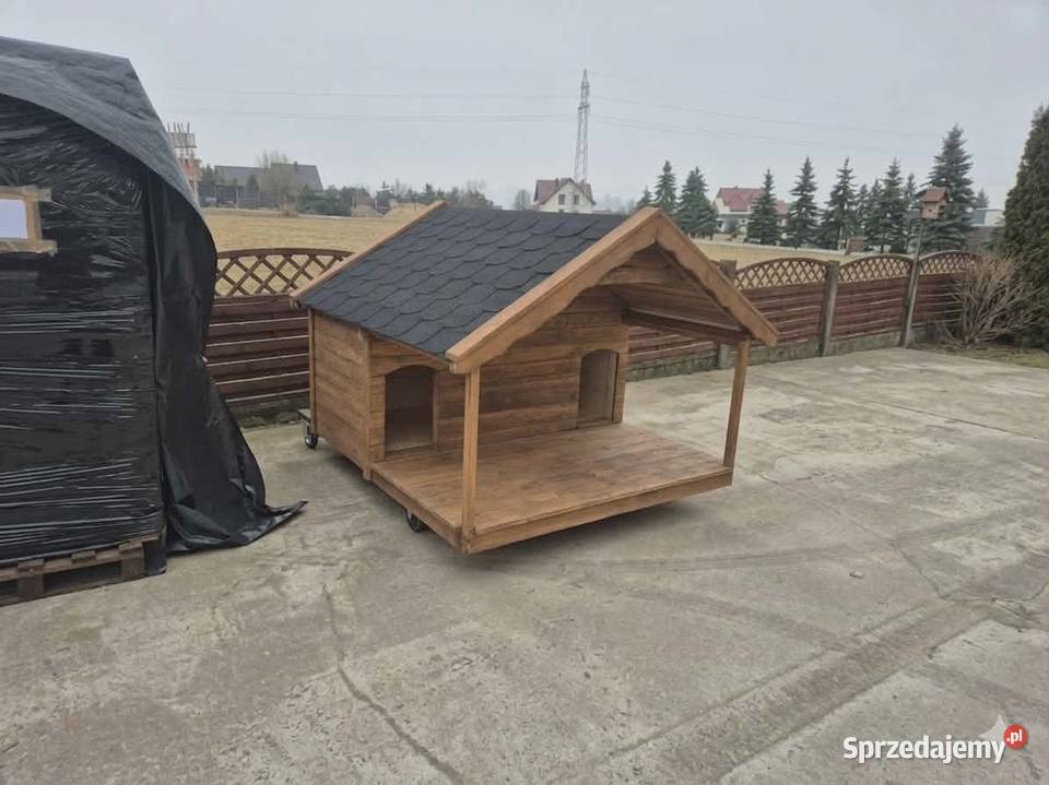 Buda psa Bliźniak Bigl Jordanów