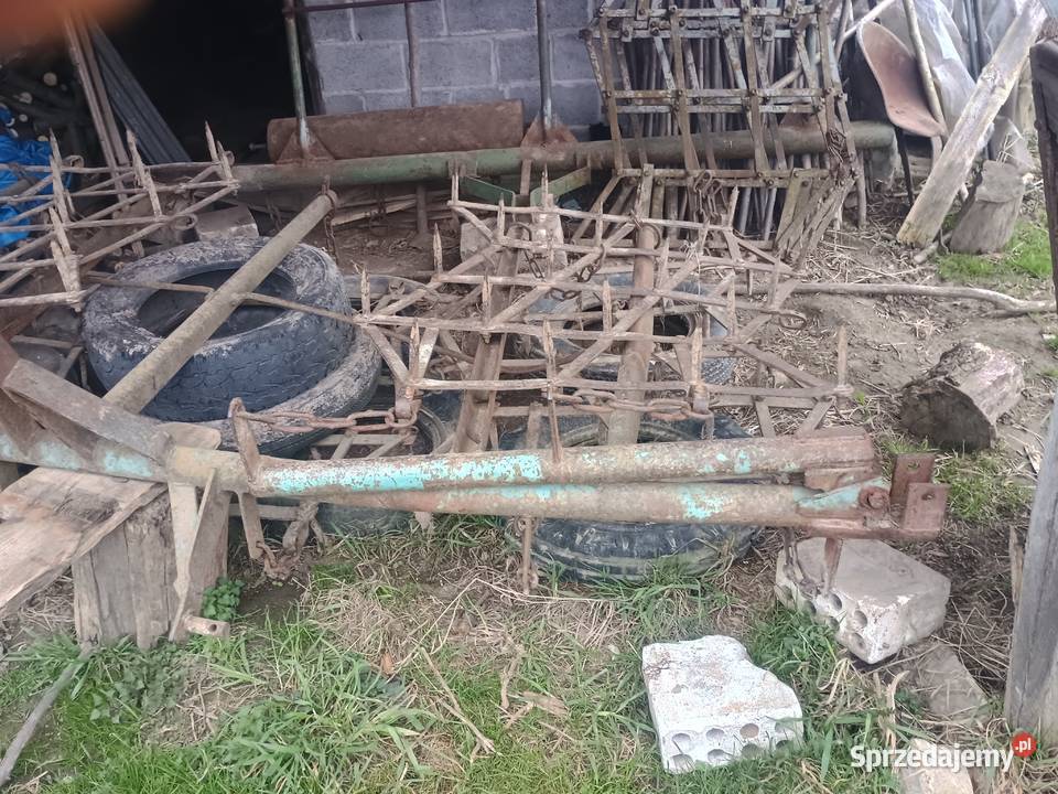 Brony piątki Chroberz