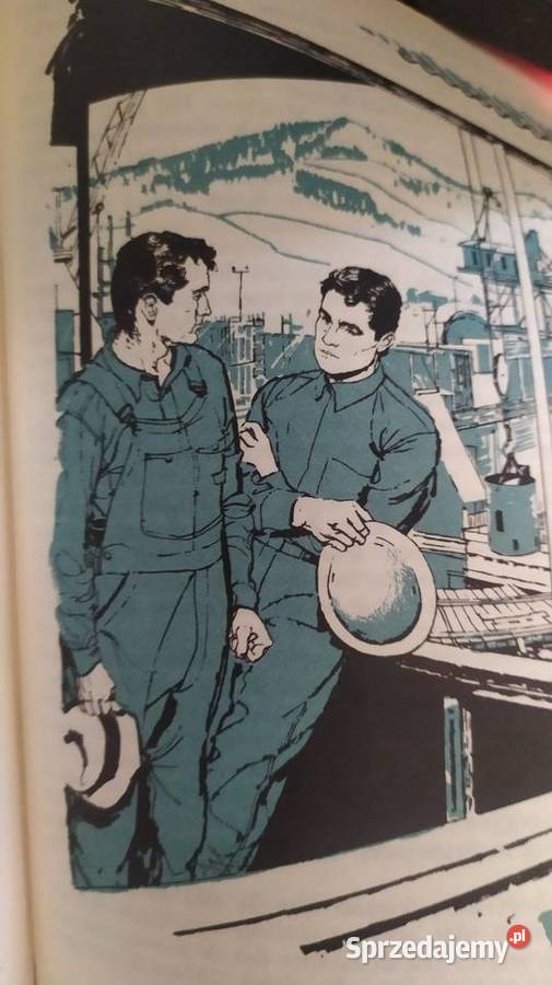 Holenderskie książki pp holendersku Rok wydania 1970 Głogów sprzedam