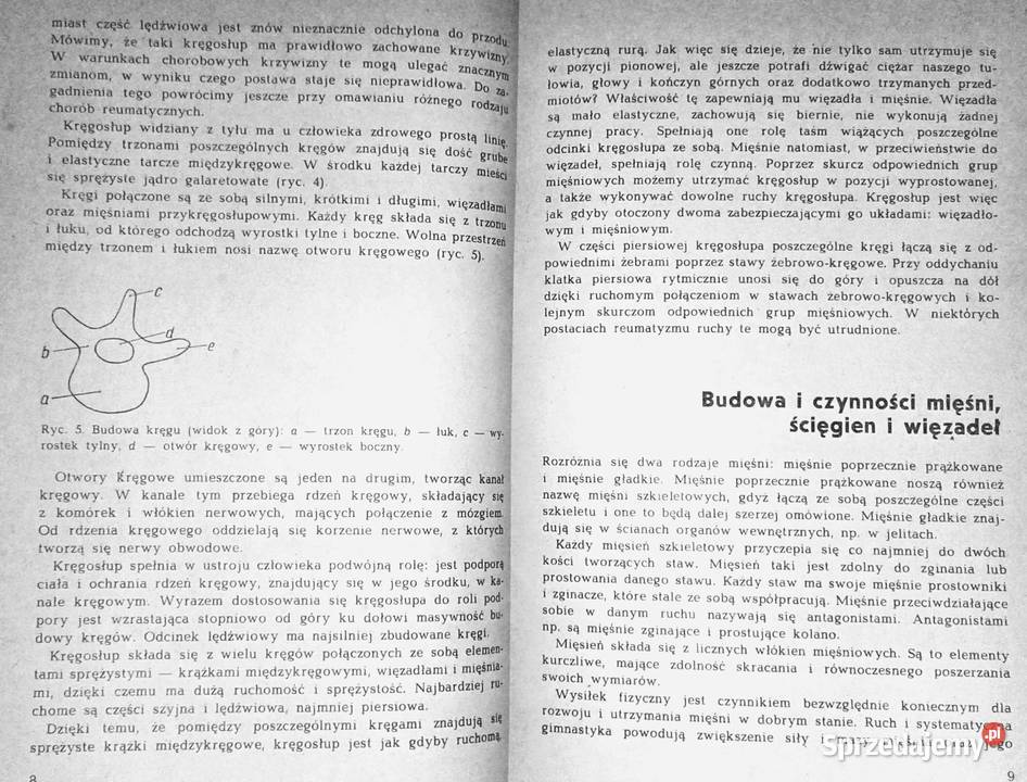 O reumatyzmie Maria SadowskaWróblewska Rok wydania 1980 Chełm