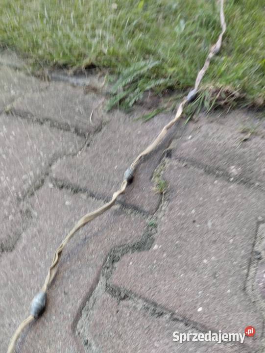 Sieć na ryby Ostrowiec Świętokrzyski sprzedam