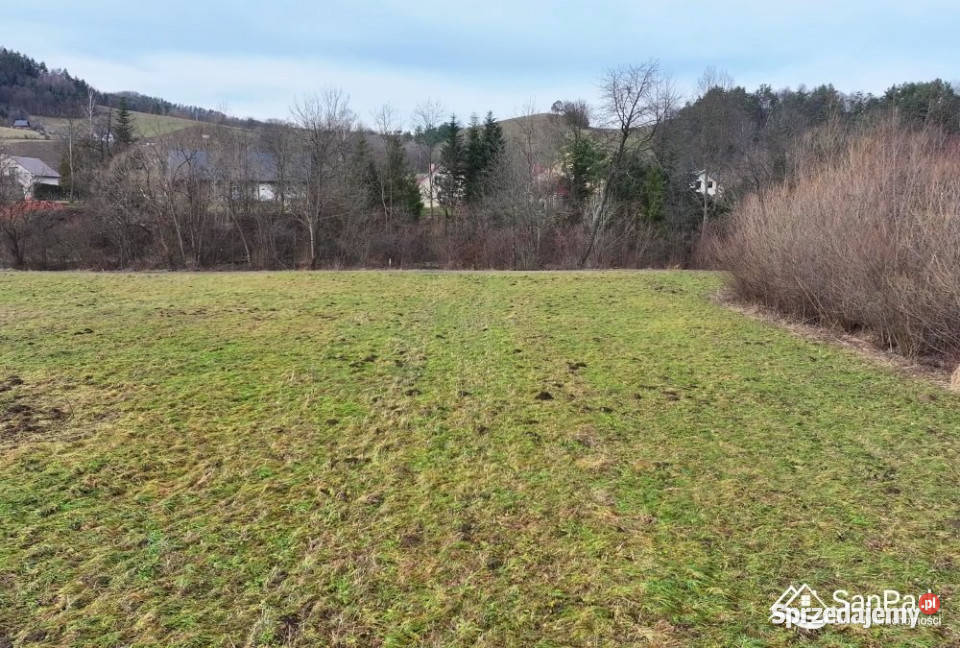 Grunt Baligród 3626m2 sprzedam