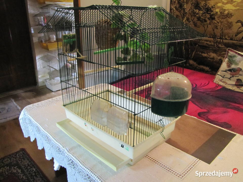 Klatka ptaków Toruń