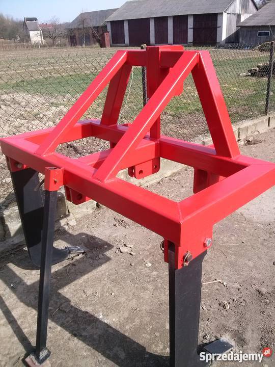 Głębosz 2 zęby Karczmiska Pierwsze