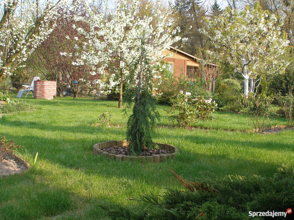 sprzedam ogródek działkowy Pozostałe Warszawa